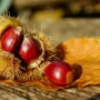 CASTAGNATA CON BALLO IN GARFAGNANA
