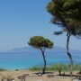 ISOLA DI PIANOSA