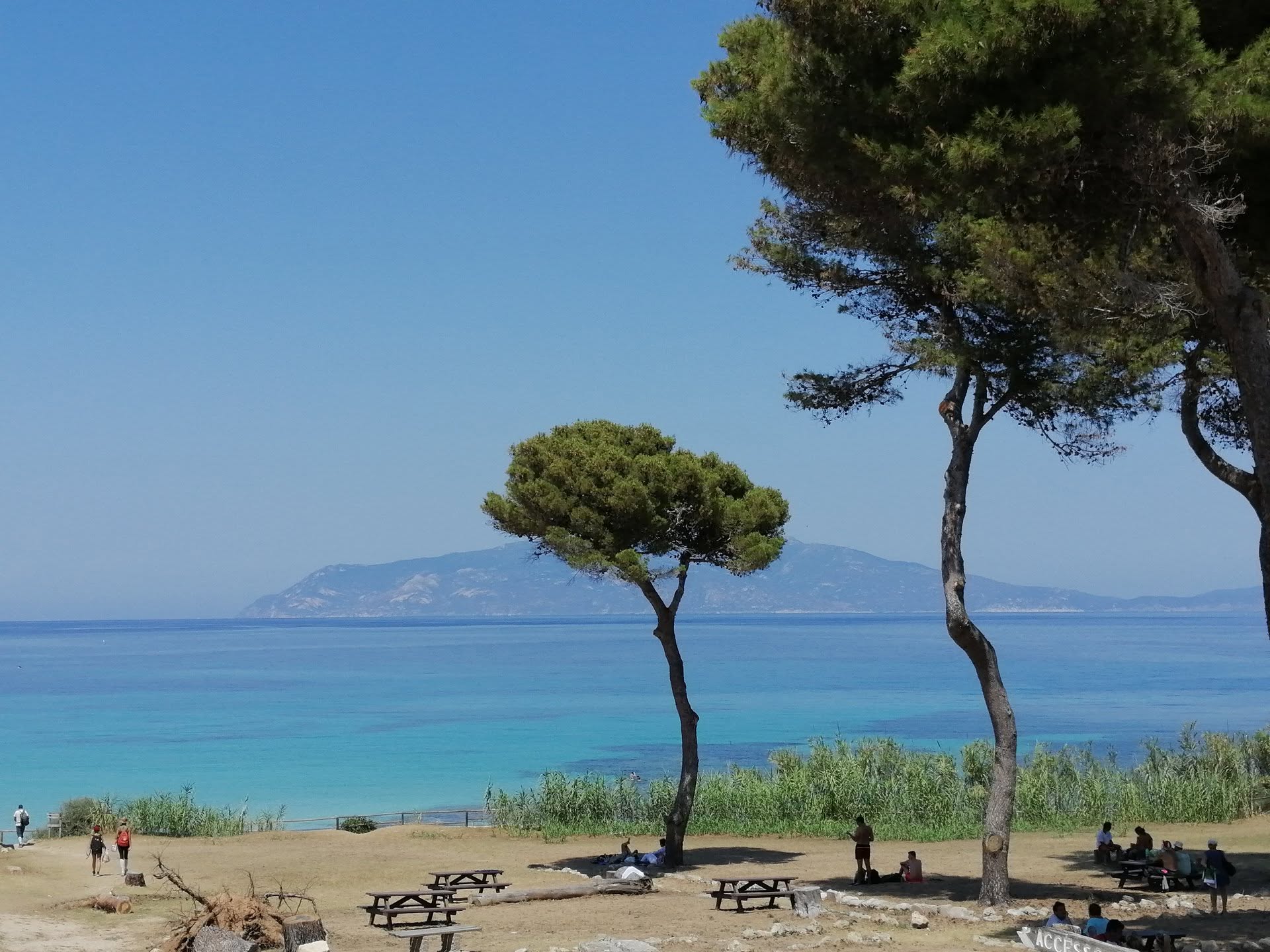 ISOLA DI PIANOSA
